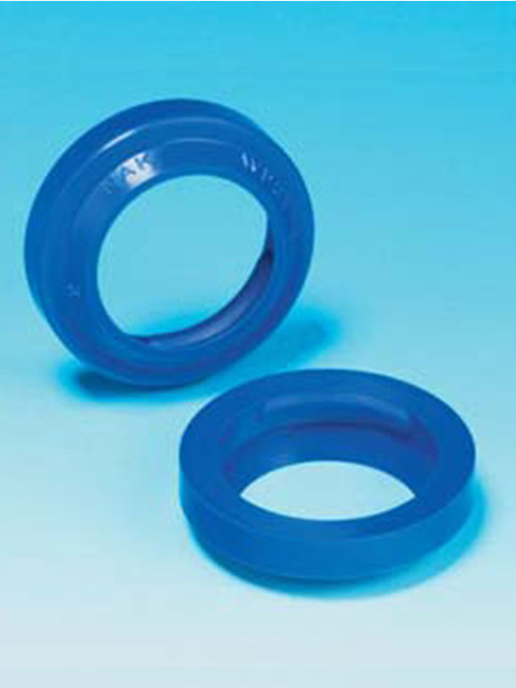 Wiper Seal Industrial Aquip.co.th